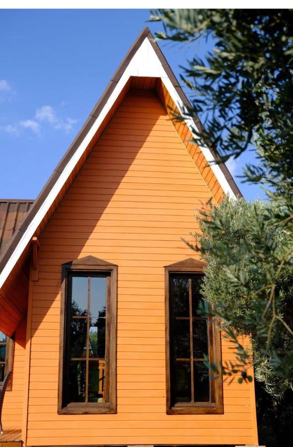 Seyyah Cafe Bungalows Aliaga Kültér fotó