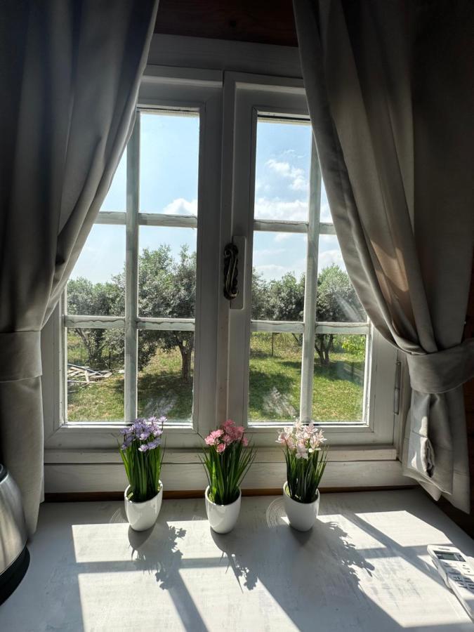 Seyyah Cafe Bungalows Aliaga Kültér fotó
